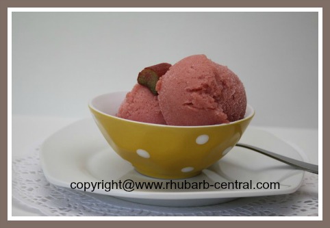 Rhubarb sorbet without ice best sale cream maker